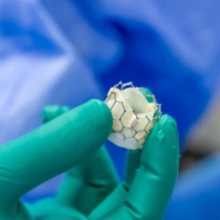 2026 EDW Transcatheter Aortic Valve Replacement (TAVR) M&M (RSS) Banner